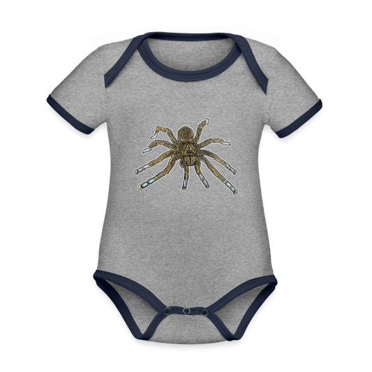 Baby Bio Kontrastbody kurz Idiothele mira - Grau meliert/Navy