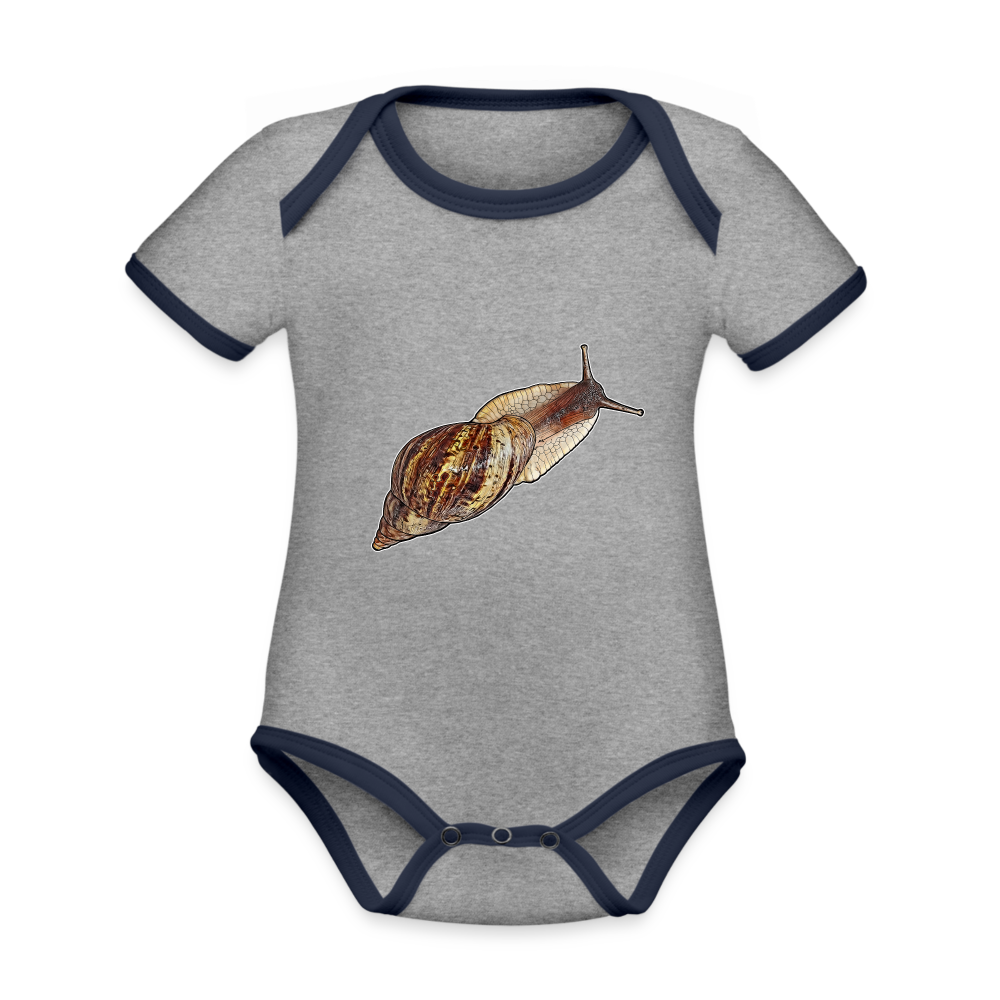 Baby Bio Kontrastbody kurz Achatine reticulata wildfarben - Grau meliert/Navy
