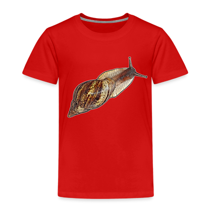Kinder Basic T-Shirt Achatina reticulata wildfarben - Rot