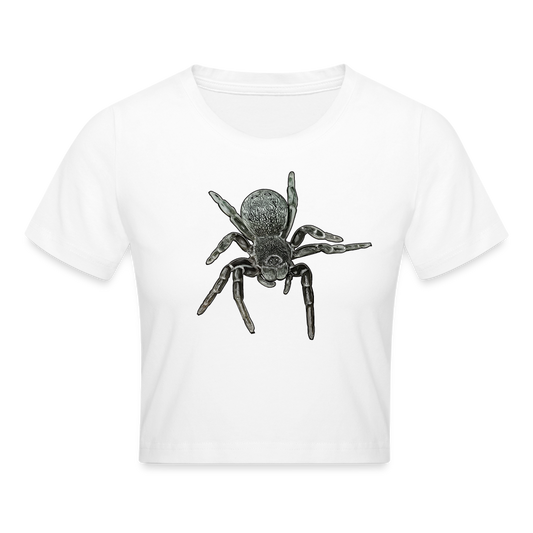 Crop T-Shirt Eresus walckenaeri - weiß