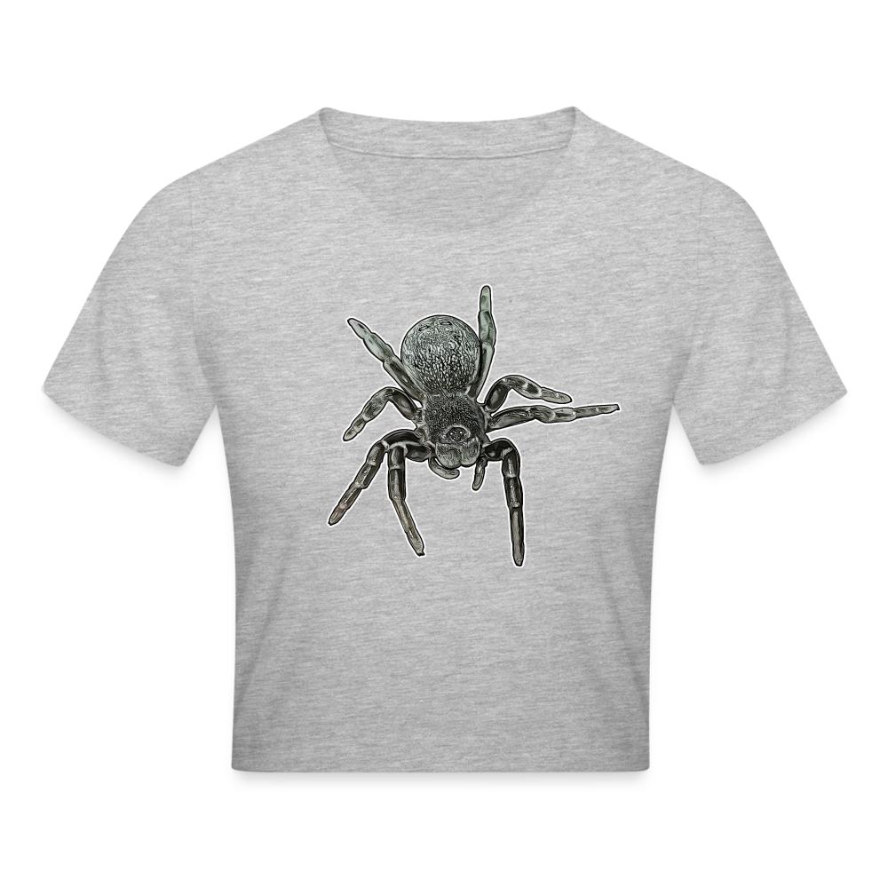 Crop T-Shirt Eresus walckenaeri - Grau meliert
