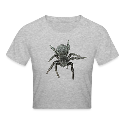Crop T-Shirt Eresus walckenaeri - Grau meliert