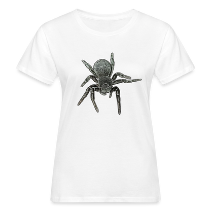 Frauen Bio-T-Shirt Eresus walckenaeri - weiß