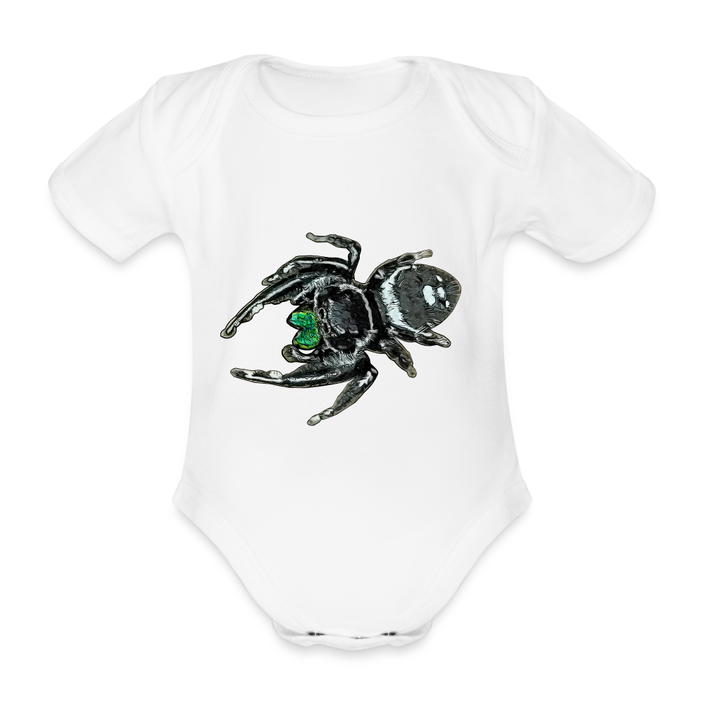 Baby Bio Body kurz Phidippus regius White Bahamas male - weiß