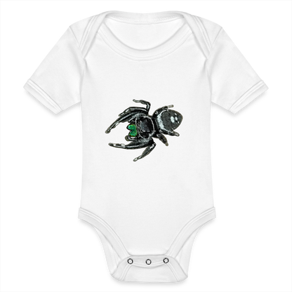 Baby Bio Body kurz Phidippus regius White Bahamas male - weiß