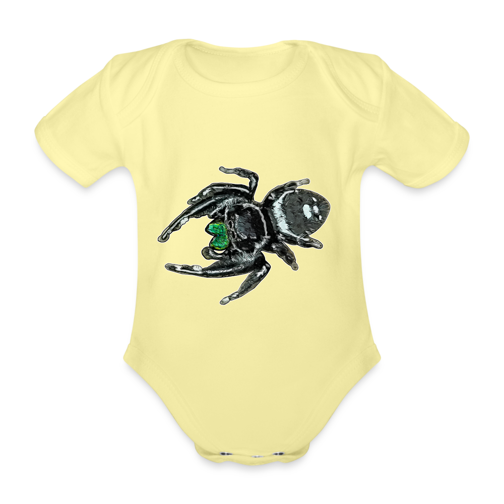 Baby Bio Body kurz Phidippus regius White Bahamas male - Hellgelb