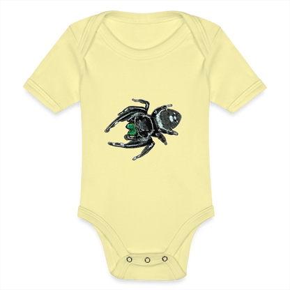 Baby Bio Body kurz Phidippus regius White Bahamas male - Hellgelb