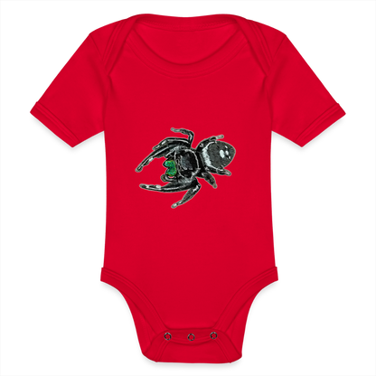 Baby Bio Body kurz Phidippus regius White Bahamas male - Rot