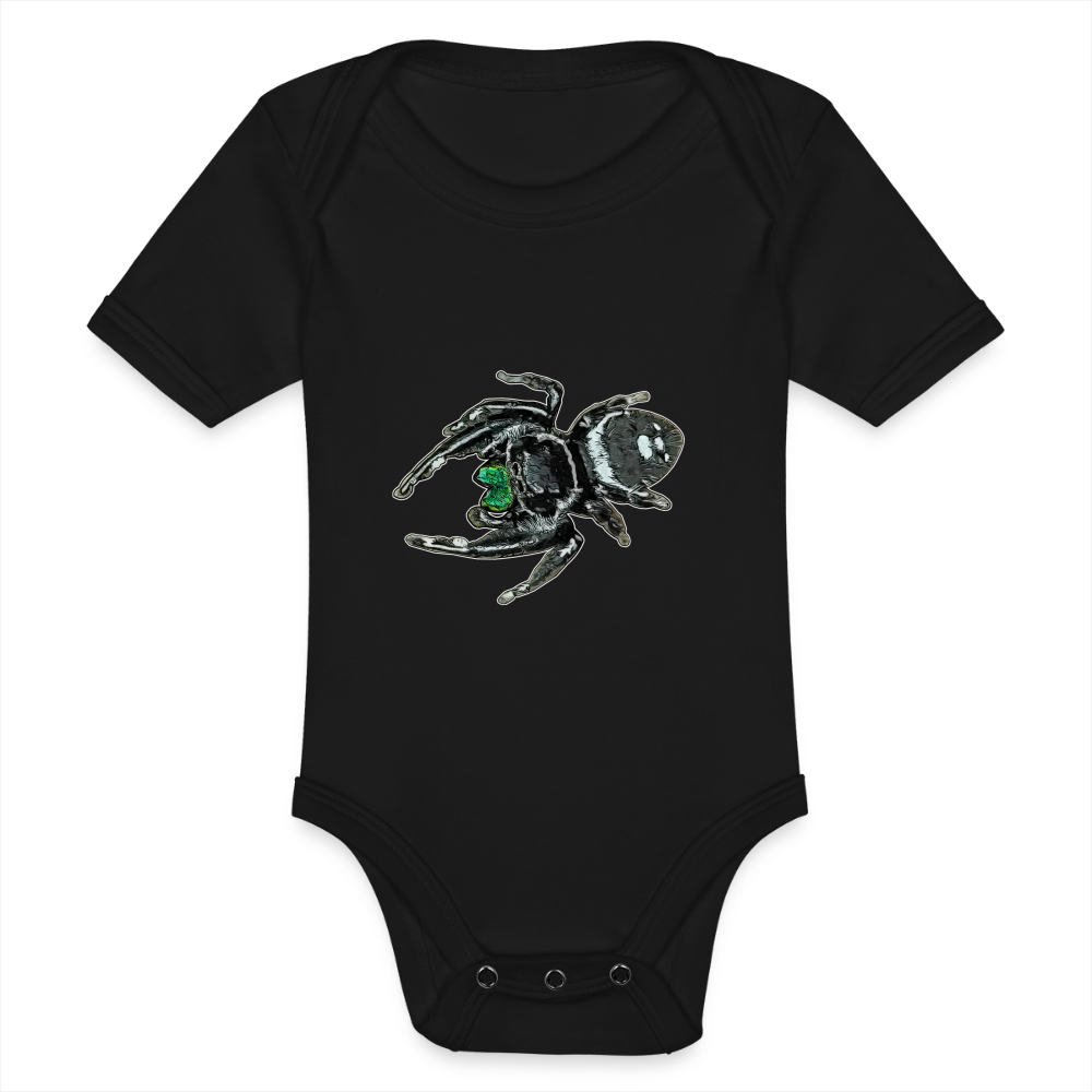 Baby Bio Body kurz Phidippus regius White Bahamas male - Schwarz