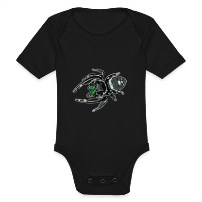 Baby Bio Body kurz Phidippus regius White Bahamas male - Schwarz