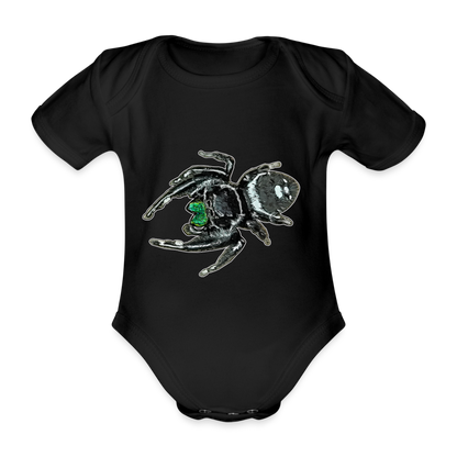 Baby Bio Body kurz Phidippus regius White Bahamas male - Schwarz