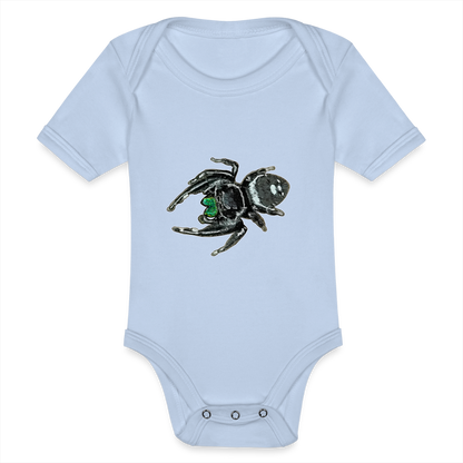 Baby Bio Body kurz Phidippus regius White Bahamas male - Sky