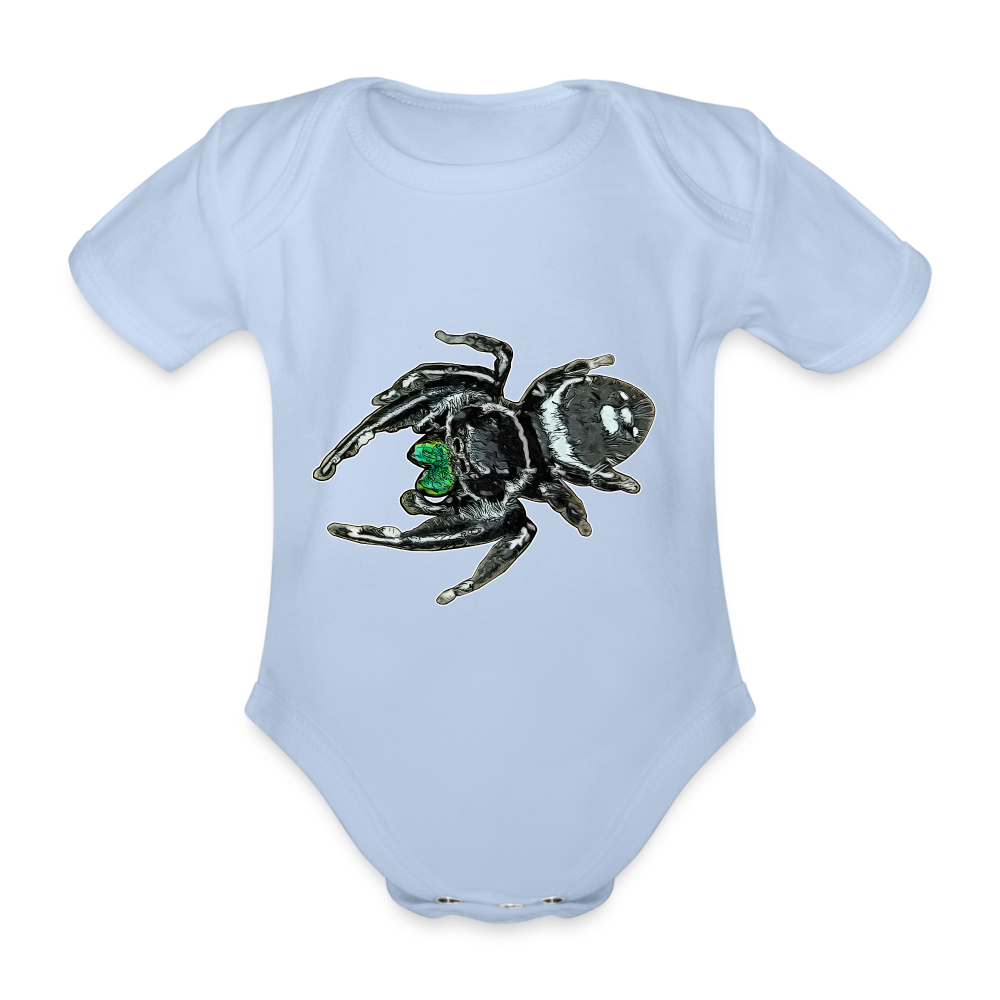 Baby Bio Body kurz Phidippus regius White Bahamas male - Sky