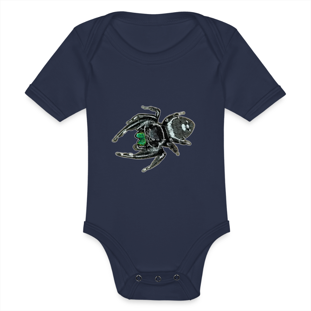 Baby Bio Body kurz Phidippus regius White Bahamas male - Dunkelnavy