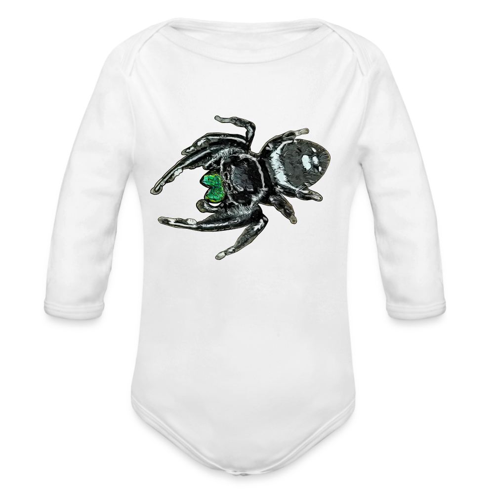 Baby Bio Body lang Phidippus regius White Bahamas male - weiß