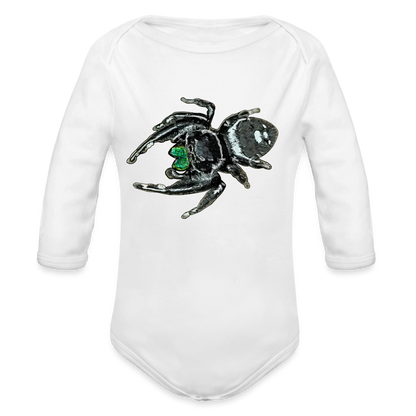 Baby Bio Body lang Phidippus regius White Bahamas male - weiß