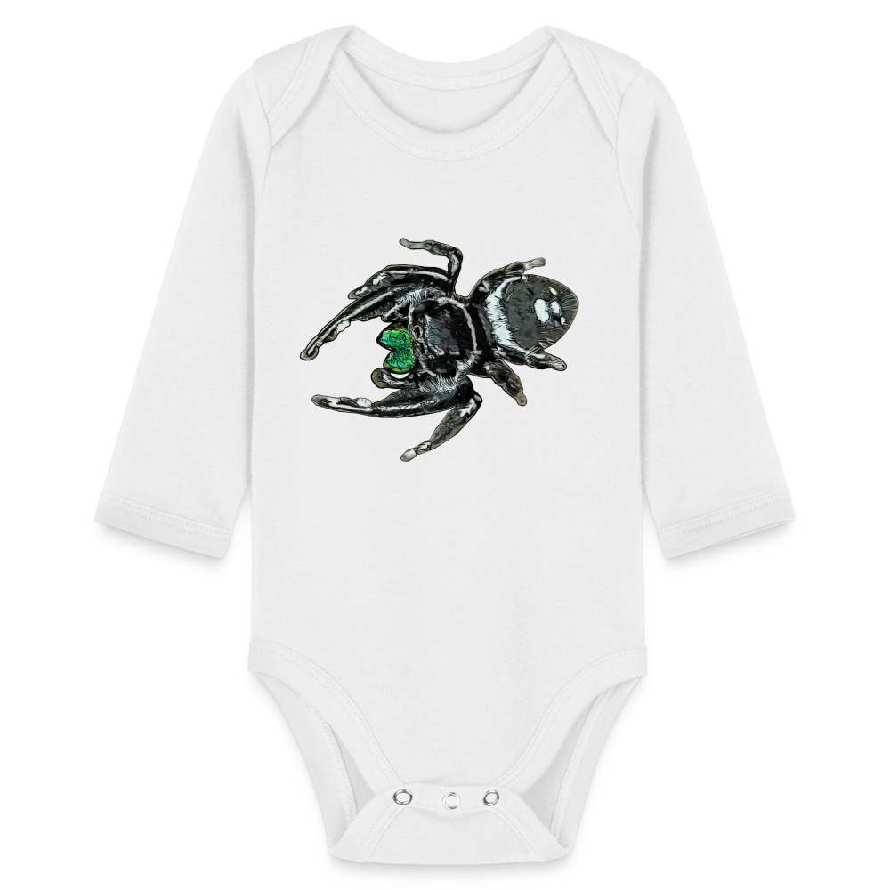 Baby Bio Body lang Phidippus regius White Bahamas male - weiß