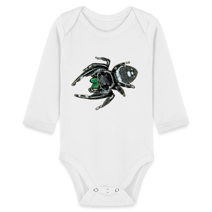 Baby Bio Body lang Phidippus regius White Bahamas male - weiß