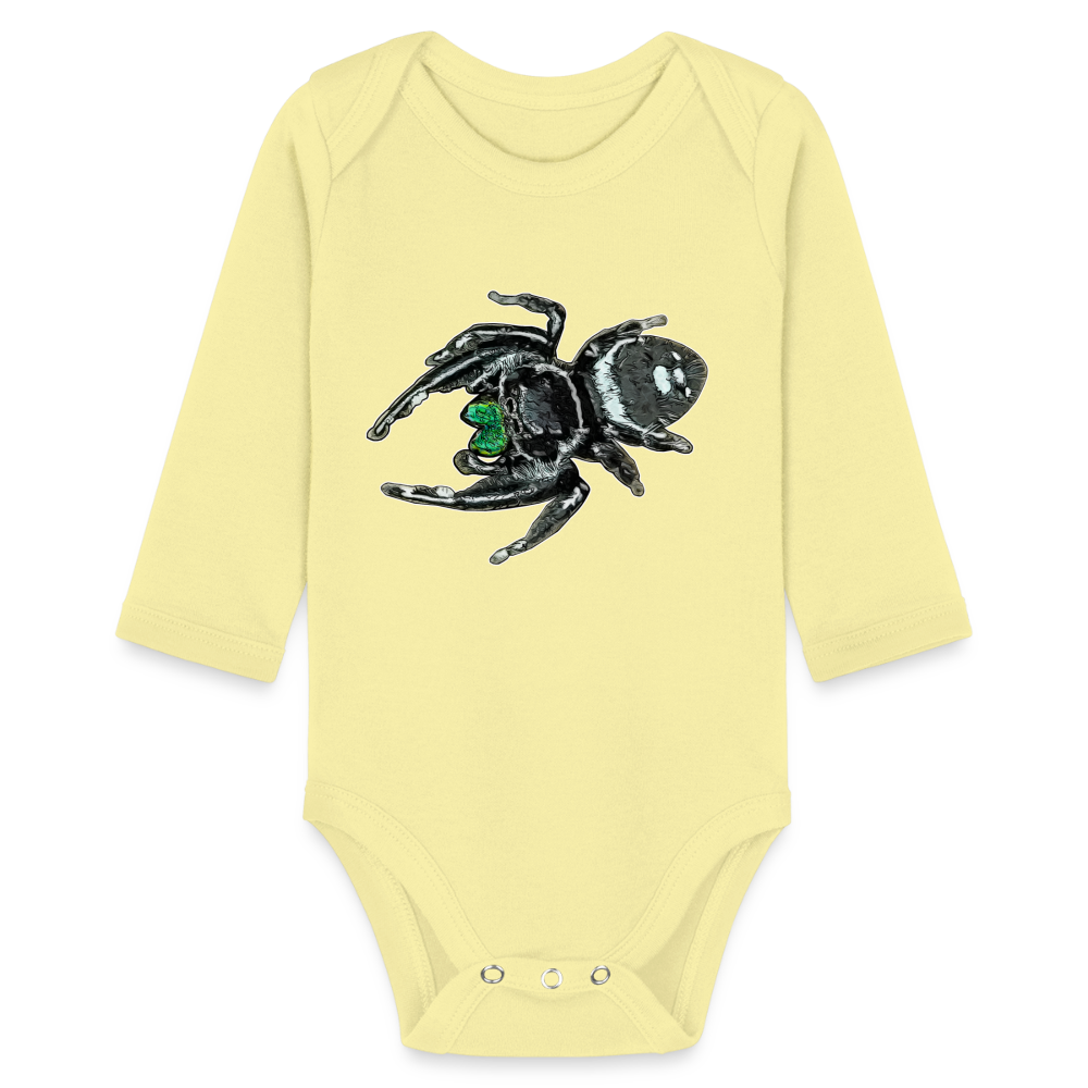 Baby Bio Body lang Phidippus regius White Bahamas male - Hellgelb