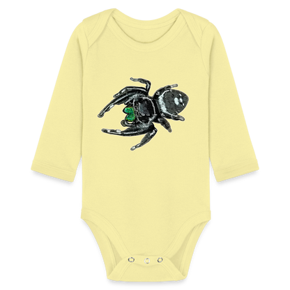 Baby Bio Body lang Phidippus regius White Bahamas male - Hellgelb