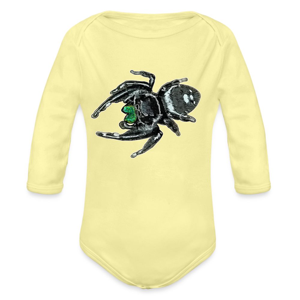 Baby Bio Body lang Phidippus regius White Bahamas male - Hellgelb