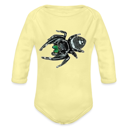 Baby Bio Body lang Phidippus regius White Bahamas male - Hellgelb