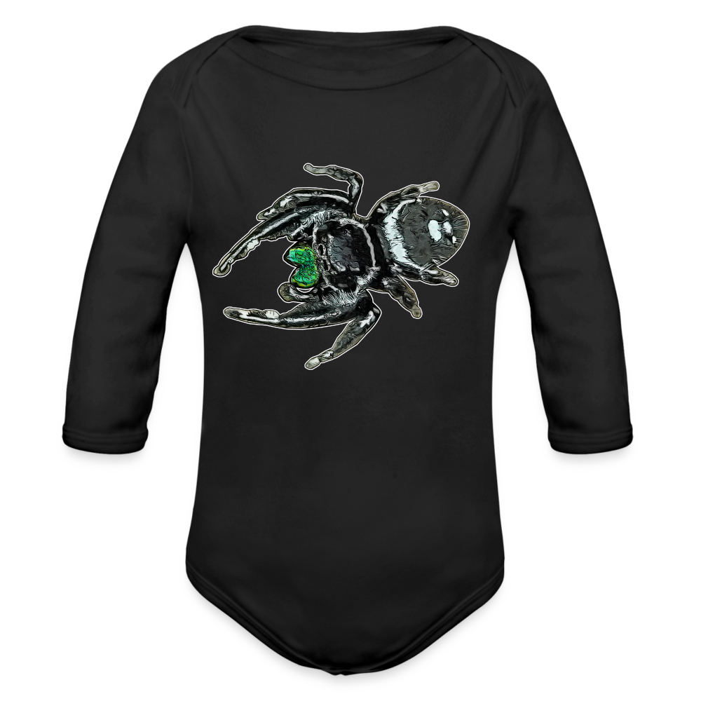 Baby Bio Body lang Phidippus regius White Bahamas male - Schwarz