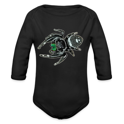 Baby Bio Body lang Phidippus regius White Bahamas male - Schwarz