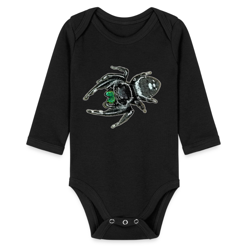 Baby Bio Body lang Phidippus regius White Bahamas male - Schwarz