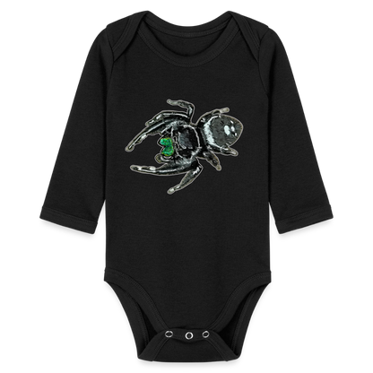 Baby Bio Body lang Phidippus regius White Bahamas male - Schwarz