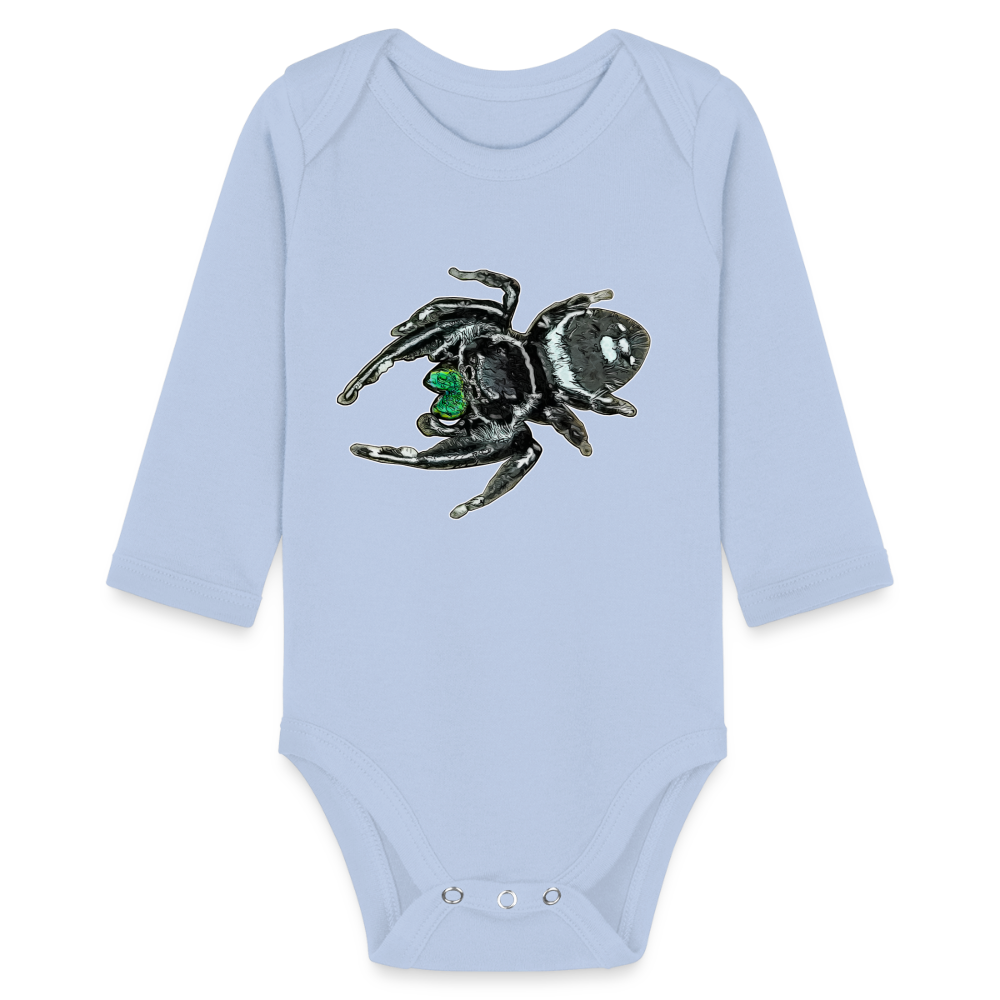 Baby Bio Body lang Phidippus regius White Bahamas male - Sky