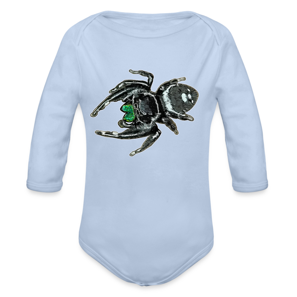 Baby Bio Body lang Phidippus regius White Bahamas male - Sky