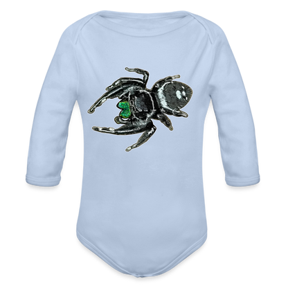 Baby Bio Body lang Phidippus regius White Bahamas male - Sky