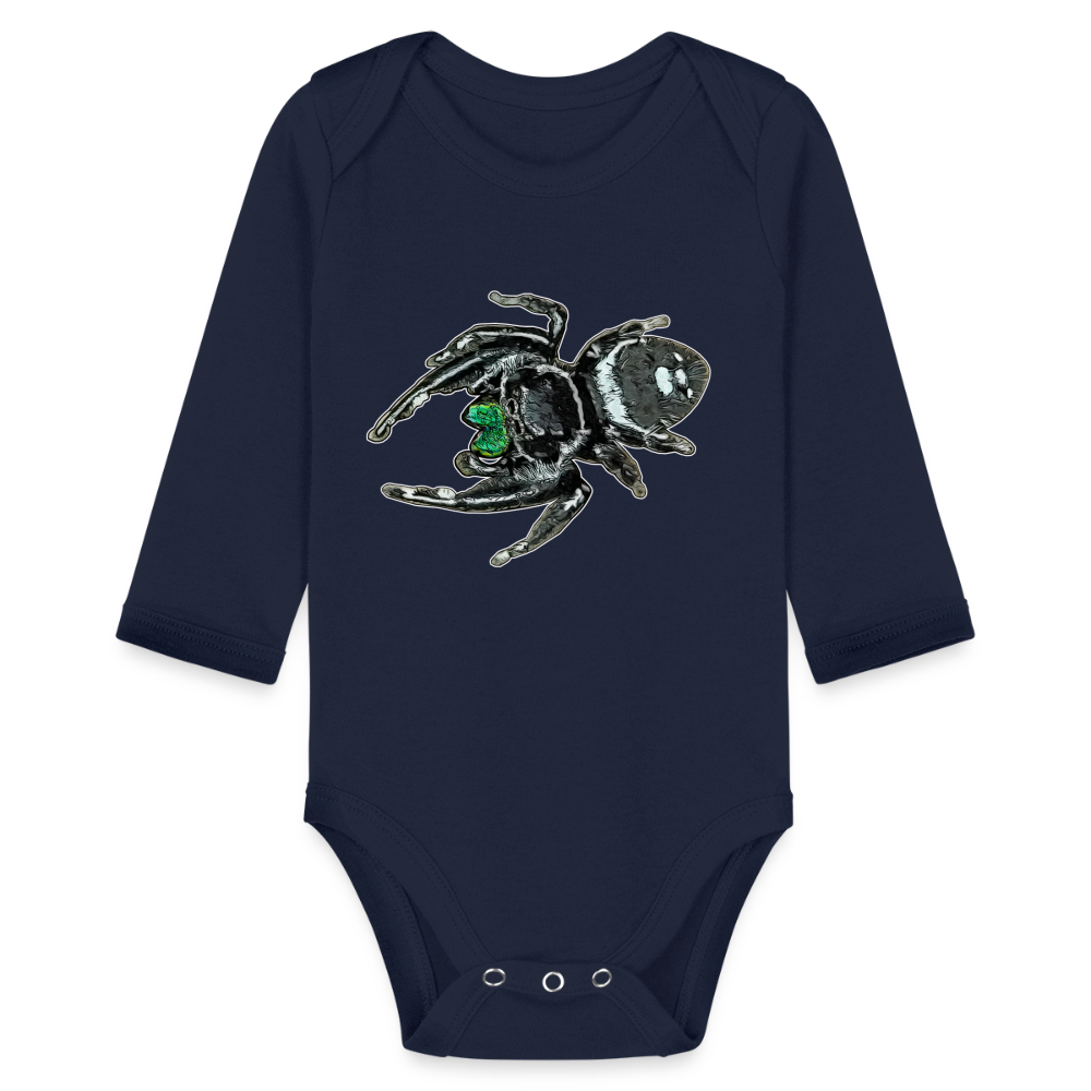 Baby Bio Body lang Phidippus regius White Bahamas male - Dunkelnavy