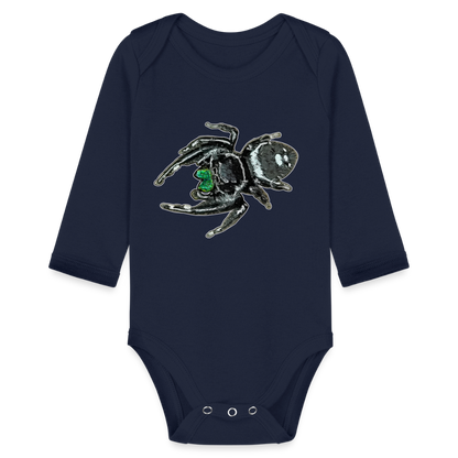 Baby Bio Body lang Phidippus regius White Bahamas male - Dunkelnavy