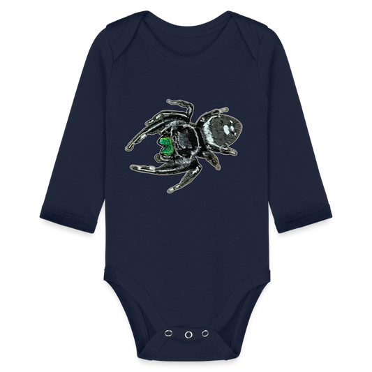 Baby Bio Body lang Phidippus regius White Bahamas male - Dunkelnavy