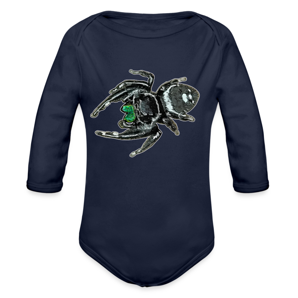 Baby Bio Body lang Phidippus regius White Bahamas male - Dunkelnavy