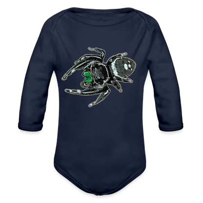 Baby Bio Body lang Phidippus regius White Bahamas male - Dunkelnavy