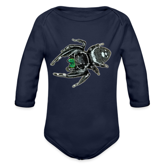 Baby Bio Body lang Phidippus regius White Bahamas male - Dunkelnavy