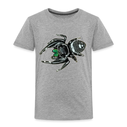 Kinder Basic T-Shirt Phidippus regius White Bahamas male - Grau meliert