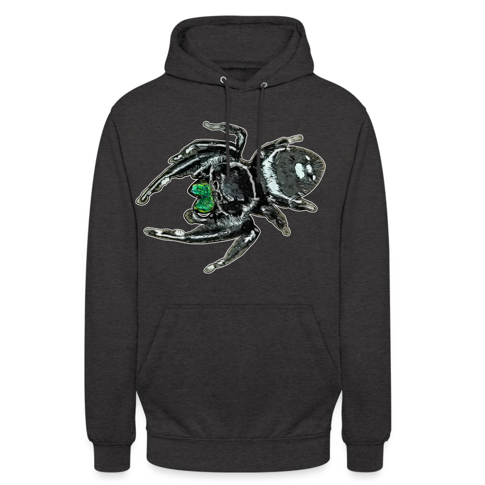 Unisex Hoodie Phidippus regius White Bahamas male - Anthrazit