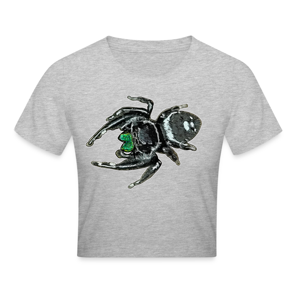Crop T-Shirt Phidippus regius White Bahamas male - Grau meliert