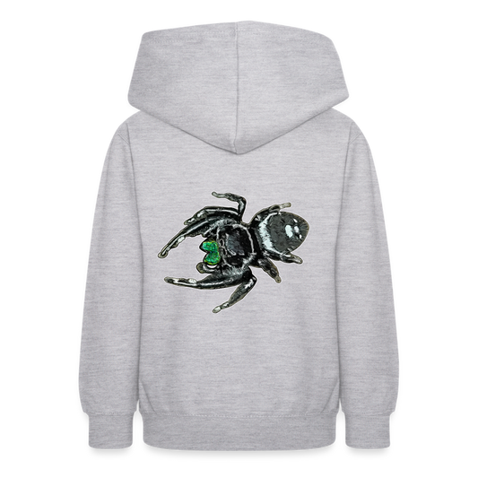 Teenager Hoodie Phidippus regius White Bahamas male - Hellgrau meliert