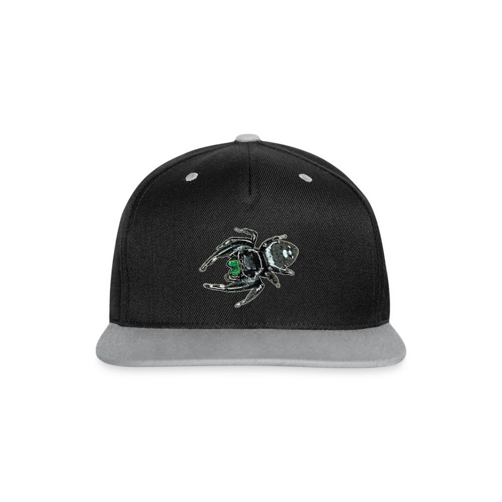 Cappy Kontrast Snapback Phidippus regius White Bahamas male - Schwarz/Grau