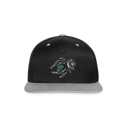 Cappy Kontrast Snapback Phidippus regius White Bahamas male - Schwarz/Grau