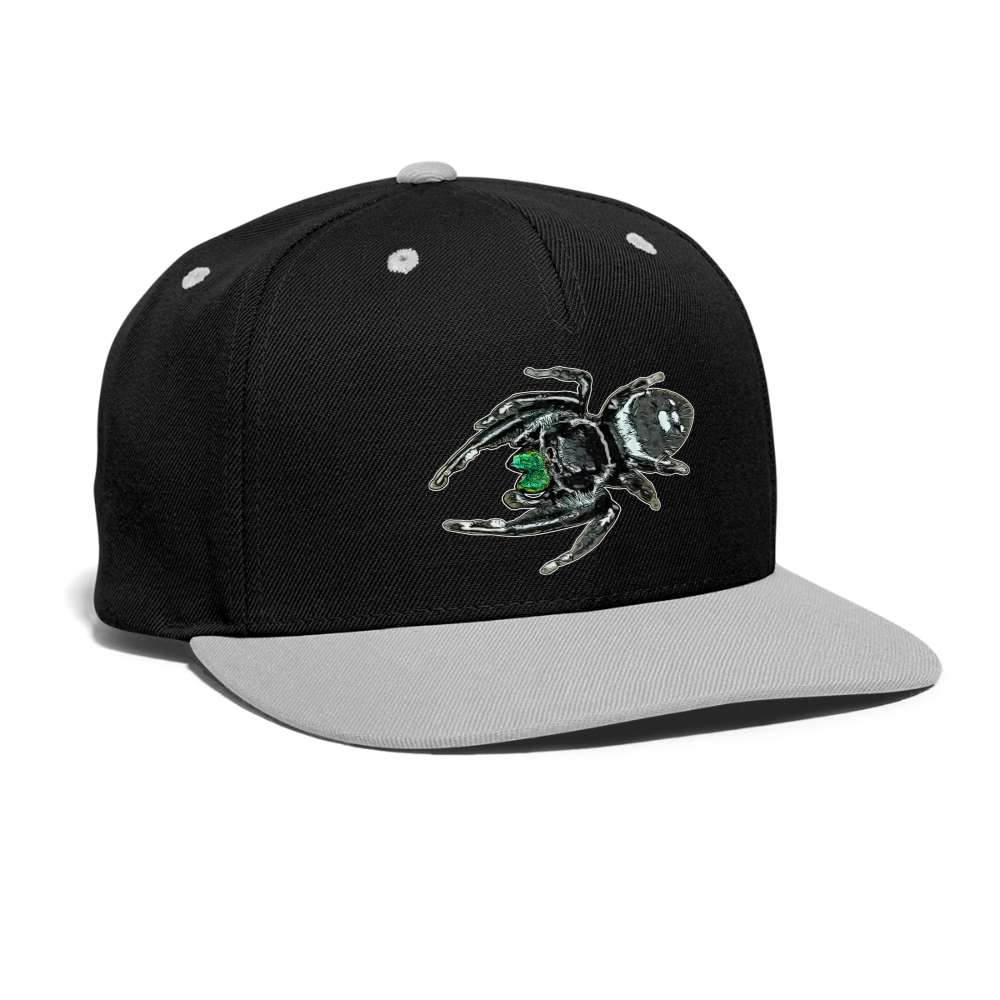 Cappy Kontrast Snapback Phidippus regius White Bahamas male - Schwarz/Grau