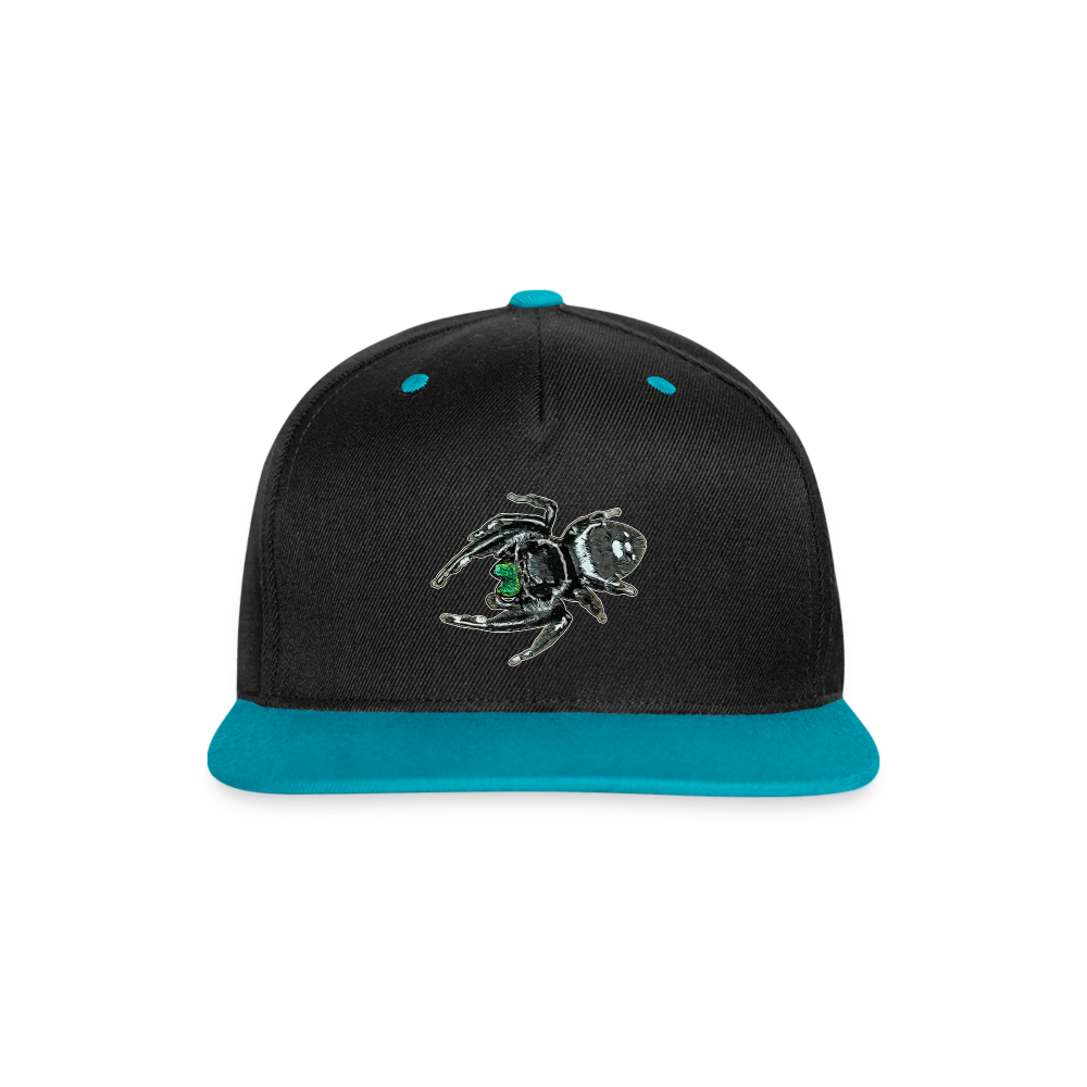 Cappy Kontrast Snapback Phidippus regius White Bahamas male - Schwarz/Türkis