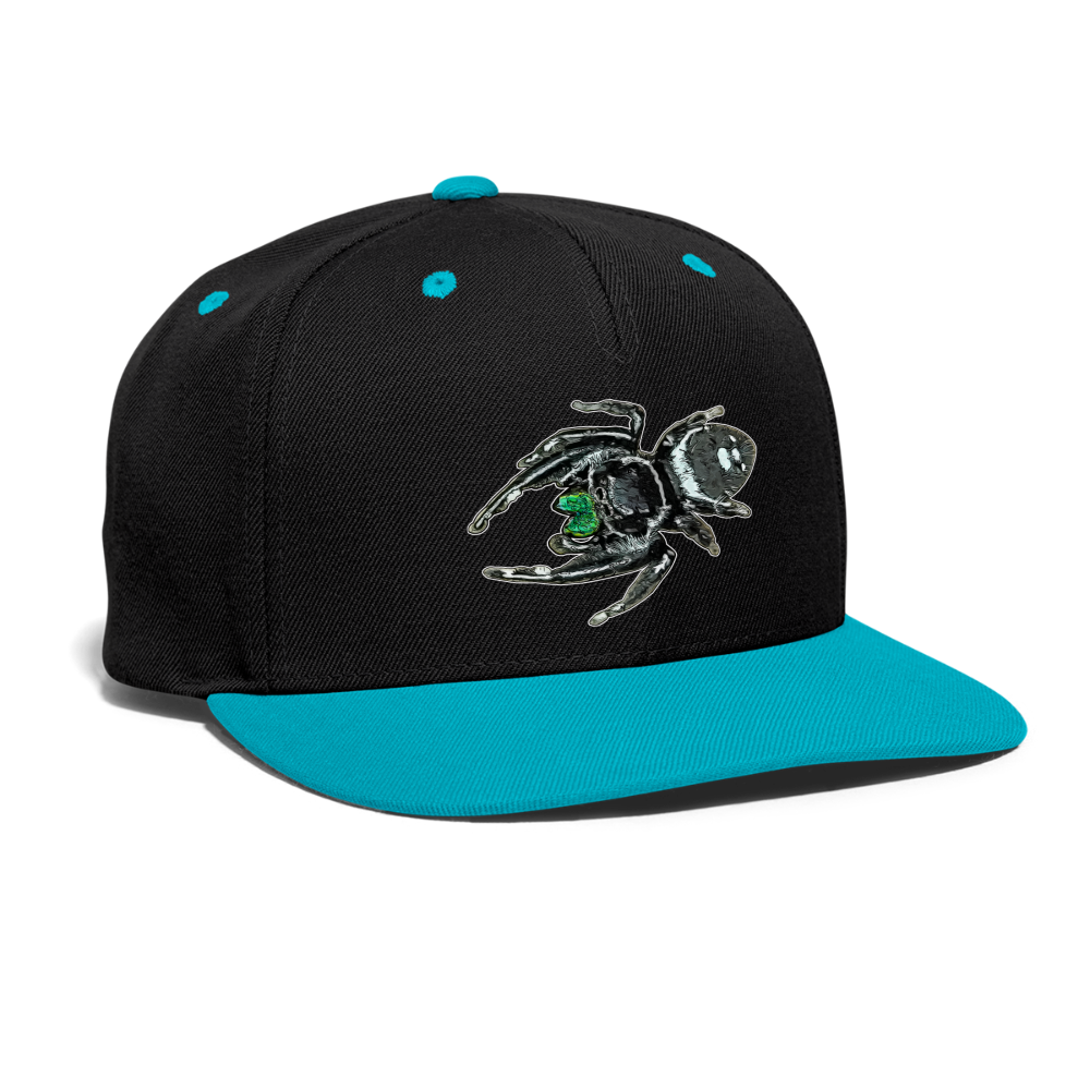 Cappy Kontrast Snapback Phidippus regius White Bahamas male - Schwarz/Türkis