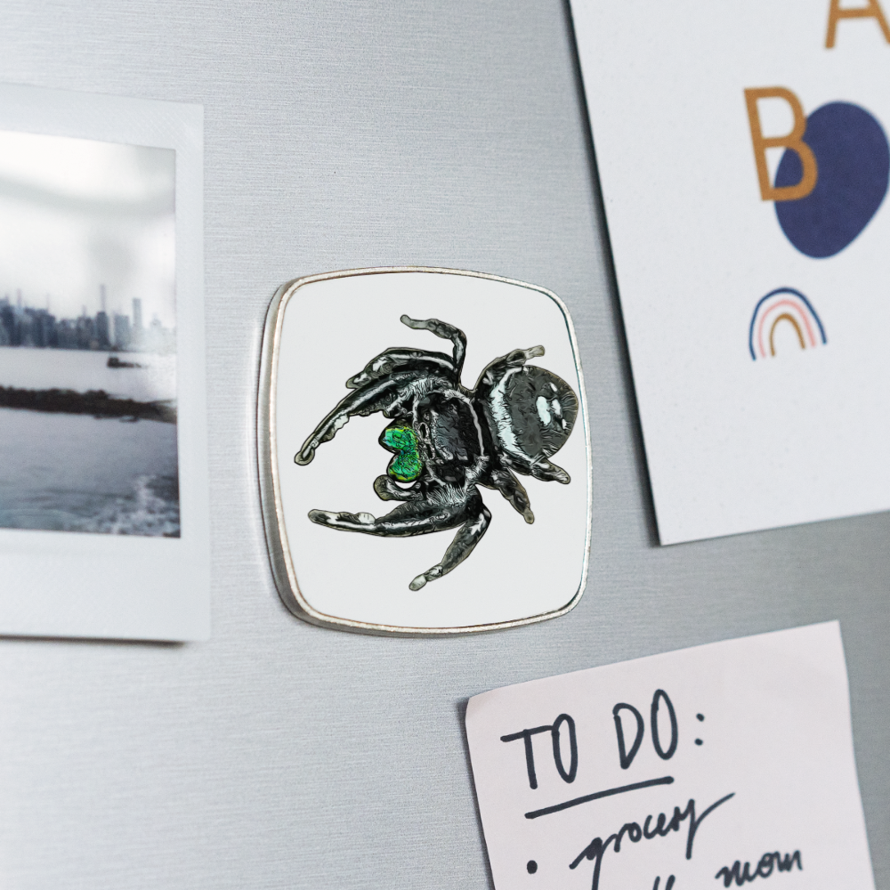 Kühlschrankmagnet eckig Phidippus regius White Bahamas male - weiß