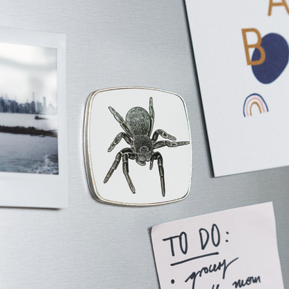 Kühlschrankmagnet eckig Eresus walckenaeri - weiß